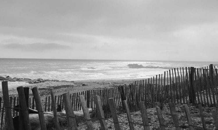 🌊 Avant la vague