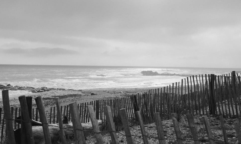 🌊 Avant la vague