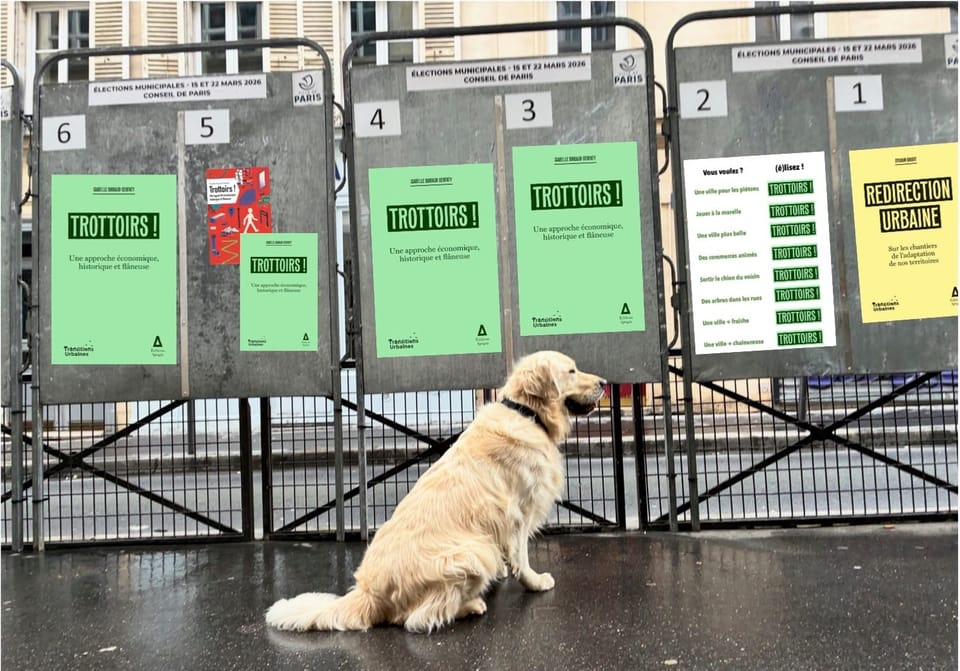 🚸 Vues du trottoir
